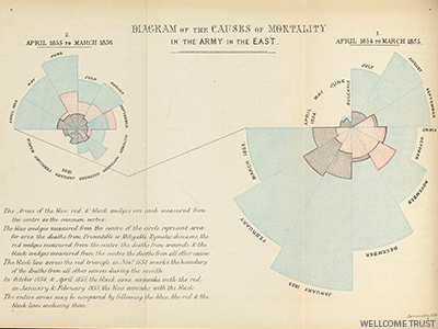 florence nightingale chart