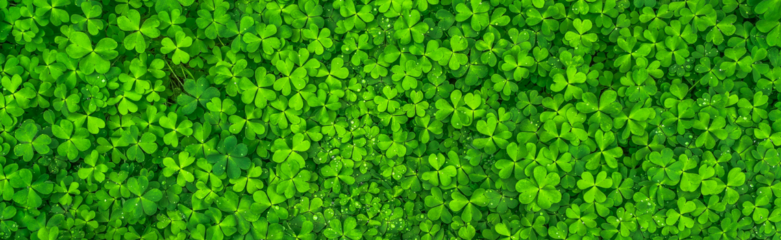 St. Patrick’s Day: The Statistics Legacy Behind Guinness
